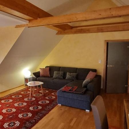 Apartment Mittelpunkt - Kaufmann Sankt Stefan ob Leoben Ngoại thất bức ảnh