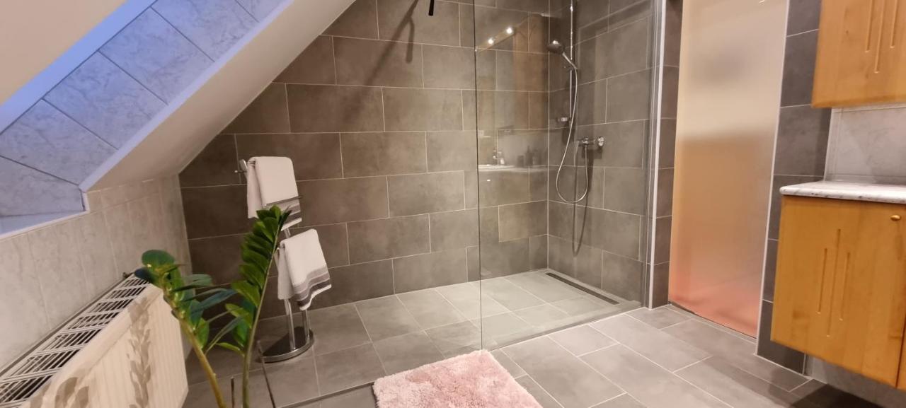 Apartment Mittelpunkt - Kaufmann Sankt Stefan ob Leoben Ngoại thất bức ảnh